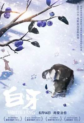 国产精品77