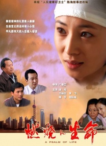 宫交h打桩hh